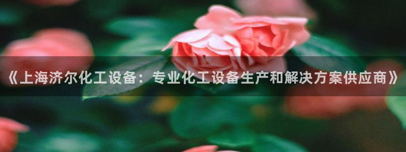 下载美狮会