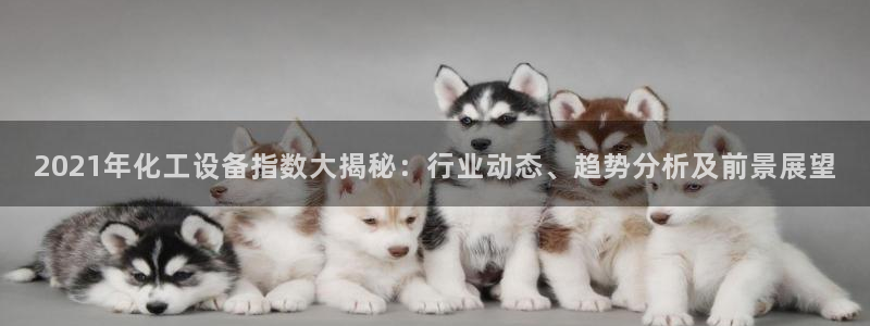 美狮官版2023最新版本