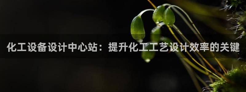 美狮会员卡等级划分图