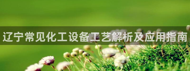 美狮贵宾会代理