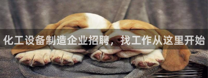 美狮会员卡等级怎么分