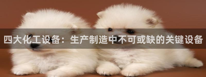 美狮会员卡等级划分标准