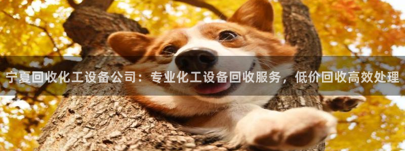 美狮贵宾会客户端下载