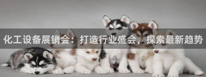 美狮贵宾会网址092app