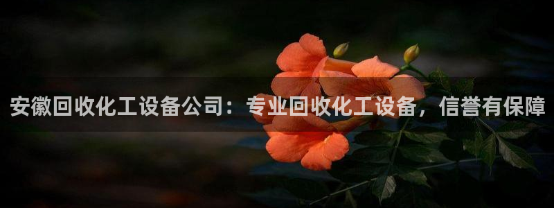 美狮贵宾会