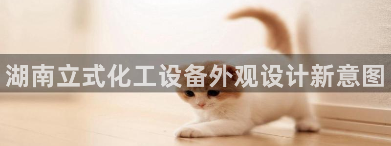美狮集团财务部待遇