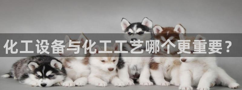 美狮贵宾会快充值中心