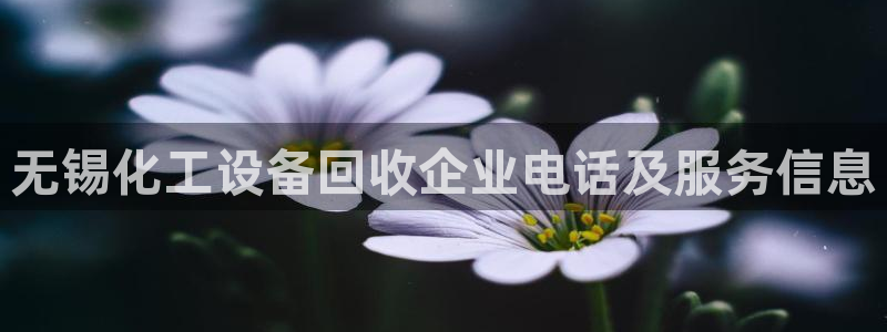 062美狮会app