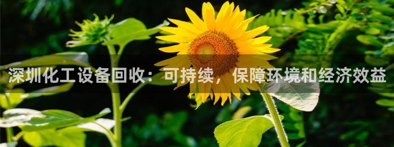 美狮贵宾会0925511