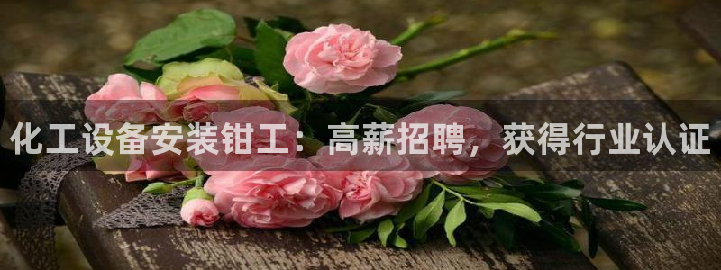 美狮贵宾会网址是什么