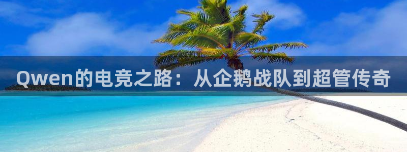 威客电竞官网下载：Qwen的电竞之路：从企鹅战队到超管传奇