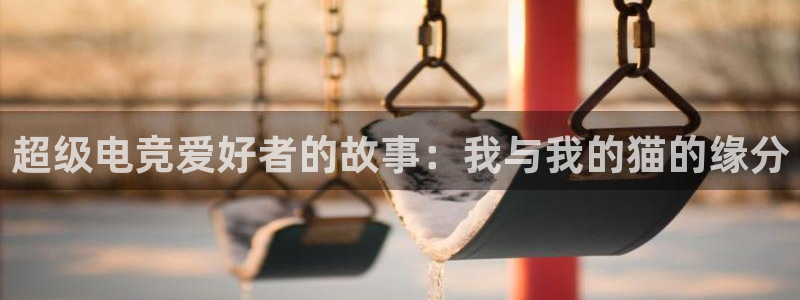 威客电竞vkgame官网