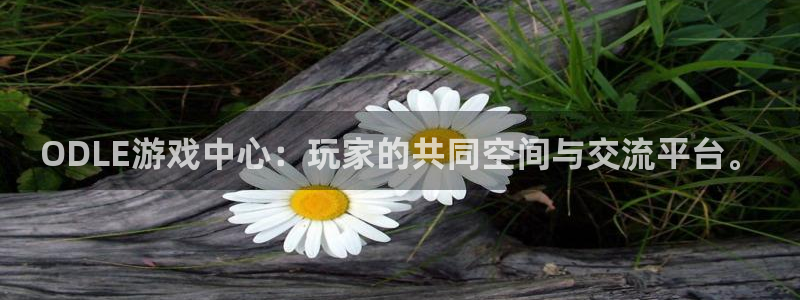 威客电竞 optic：ODLE游戏中心：玩家的共同空间与交流平台。