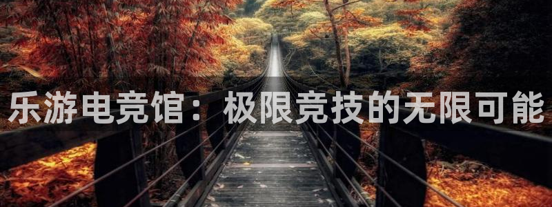 vk威客电竞：乐游电竞馆：极限竞技的无限可能