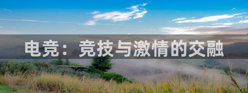 威客电竞测速：电竞：竞技与激情的交融