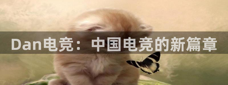 威客电竞客服：Dan电竞：中国电竞的新篇章