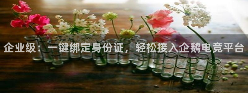威客电竞客：企业级：一键绑定身份证，轻松接入企鹅电竞平台