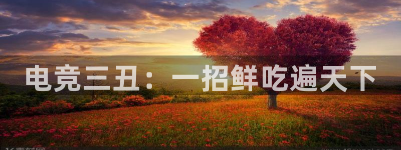 威客电竞测速：电竞三丑：一招鲜吃遍天下