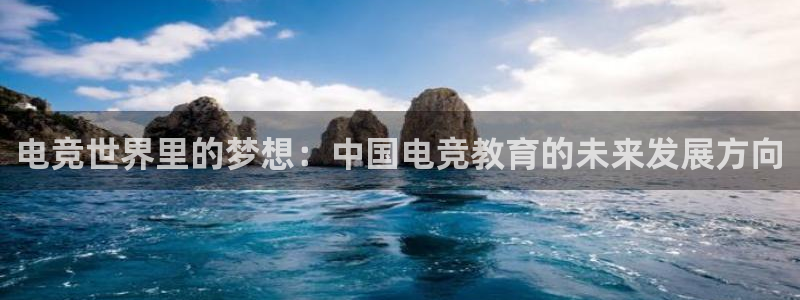 威客电竞·(中国)VKGAMING