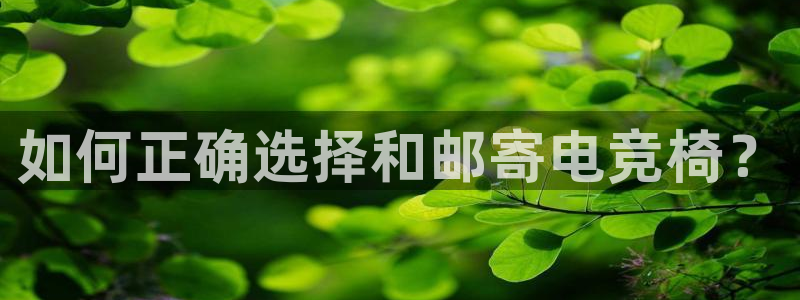 vkgame威客电竞