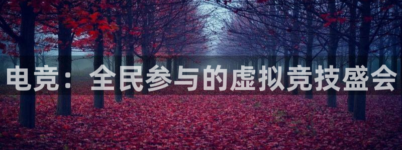 威客电竞VKGAME：电竞：全民参与的虚拟竞技盛会