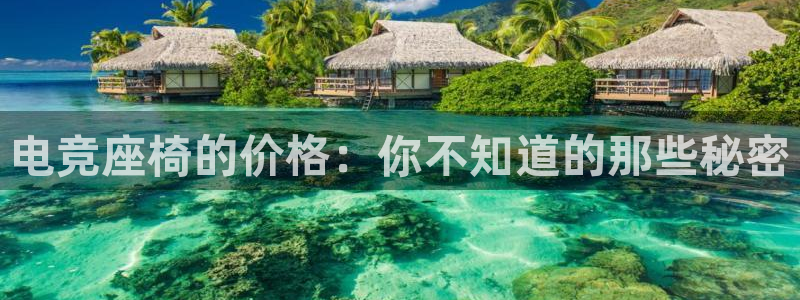 威客电竞：电竞座椅的价格：你不知道的那些秘密