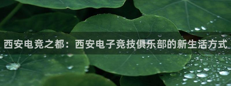 威客电竞 optic：西安电竞之都：西安电子竞技俱乐部的新生活方式