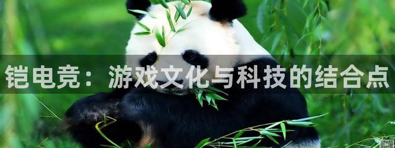 vkgame威客电竞官网：铠电竞：游戏文化与科技的结合点