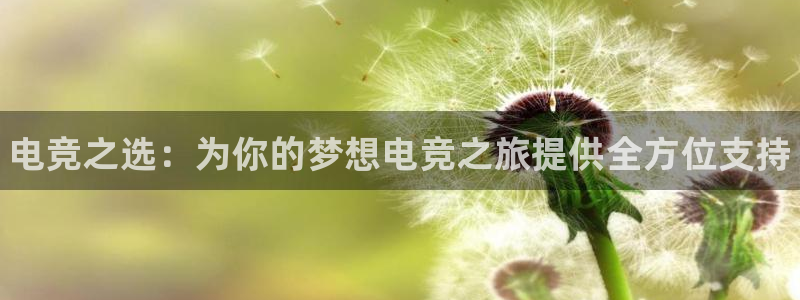 威客电竞网页版入口：电竞之选：为你的梦想电竞之旅提供全方位支持