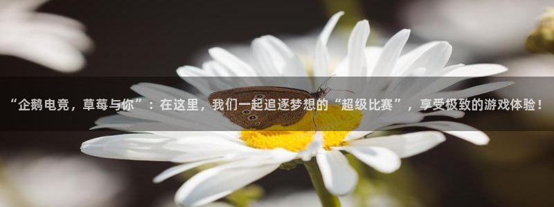 vkgame威客电竞官网：“企鹅电竞，草莓与你”：在这里，我们一起追逐梦想的“超级比赛”，享受极致的游戏体验！