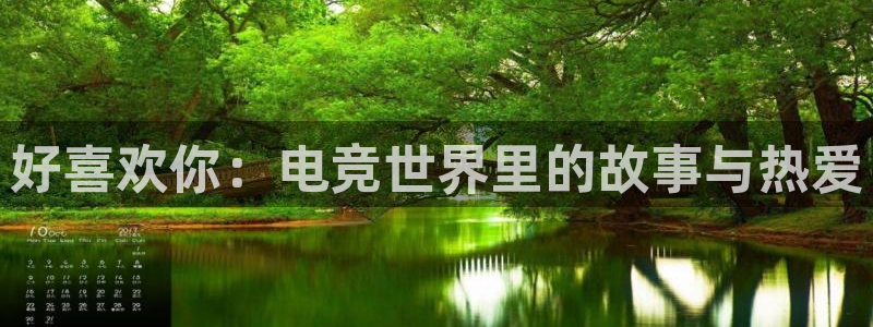 vkgame 威客电竞：好喜欢你：电竞世界里的故事与热爱