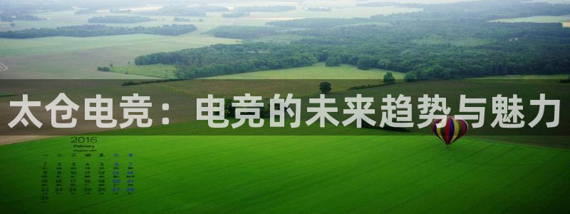 威客电竞VKGAME