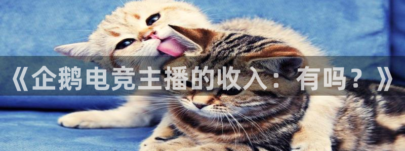 威客电竞官网下载：《企鹅电竞主播的收入：有吗？》