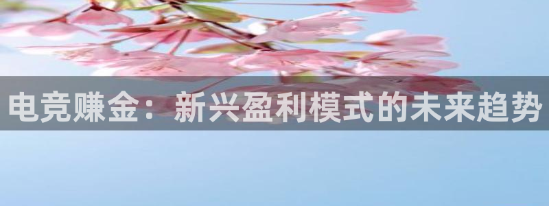 威客电竞官网登录入口