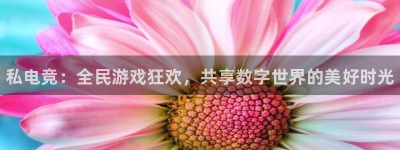 威客电竞官网下载：私电竞：全民游戏狂欢，共享数字世界的美好时光