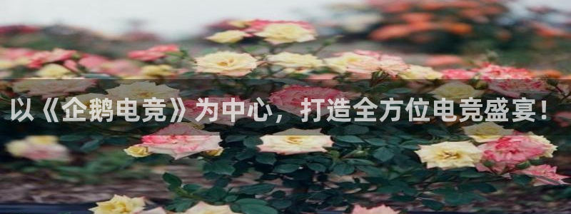 威客电竞vkgame官网：以《企鹅电竞》为中心，打造全方位电竞盛宴！