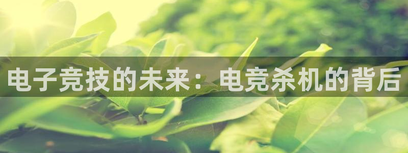 威客电竞官网：电子竞技的未来：电竞杀机的背后