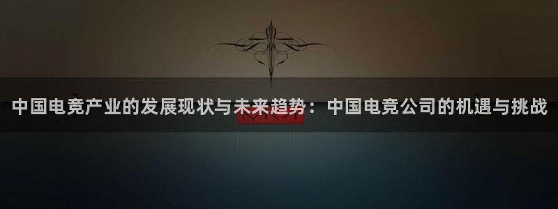 vkgame威客电竞：中国电竞产业的发展现状与未来趋势：中国电竞公司的机遇与挑战