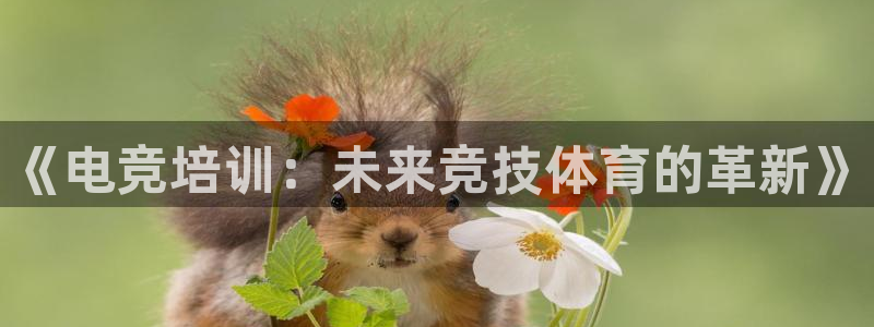 威客电竞客：《电竞培训：未来竞技体育的革新》