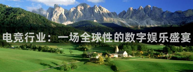 vkgame 威客电竞：电竞行业：一场全球性的数字娱乐盛宴