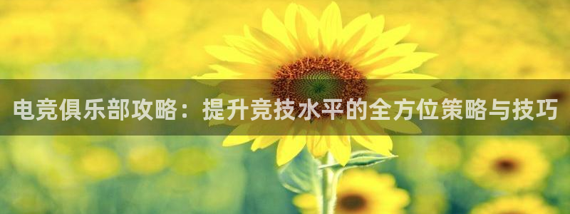 威客电竞vkgame官网：电竞俱乐部攻略：提升竞技水平的全方位策略与技巧