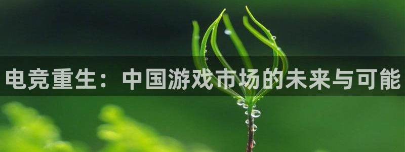 威客电竞官网登录入口：电竞重生：中国游戏市场的未来与可能