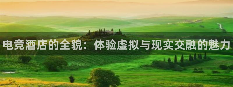 威客电竞客