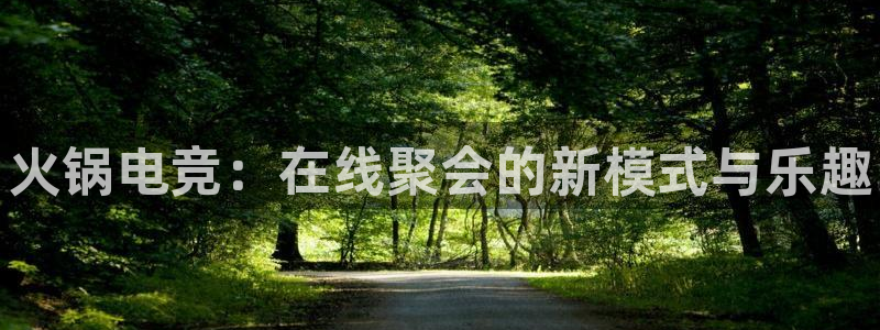 vkgame威客电竞：火锅电竞：在线聚会的新模式与乐趣