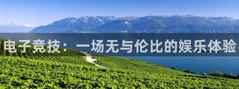 威客电竞客服：电子竞技：一场无与伦比的娱乐体验