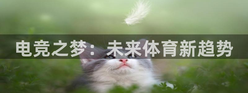 vkgame威客电竞官网