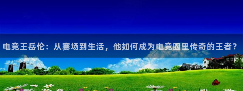 威客电竞客服：电竞王岳伦：从赛场到生活，他如何成为电竞圈里传奇的王者？