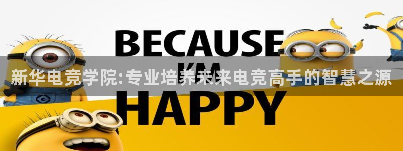 威客电竞客服：新华电竞学院:专业培养未来电竞高手的智慧之源