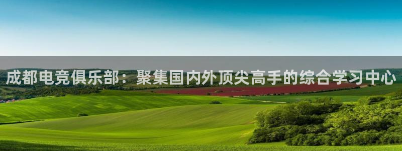 vk威客电竞