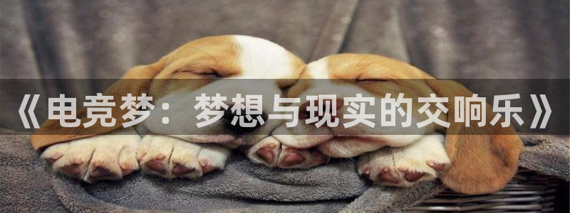 威客电竞 optic：《电竞梦：梦想与现实的交响乐》